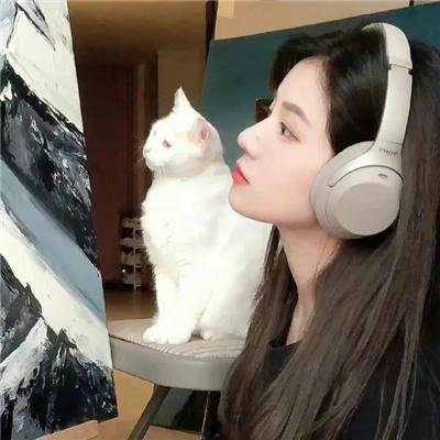 猫与爷爷